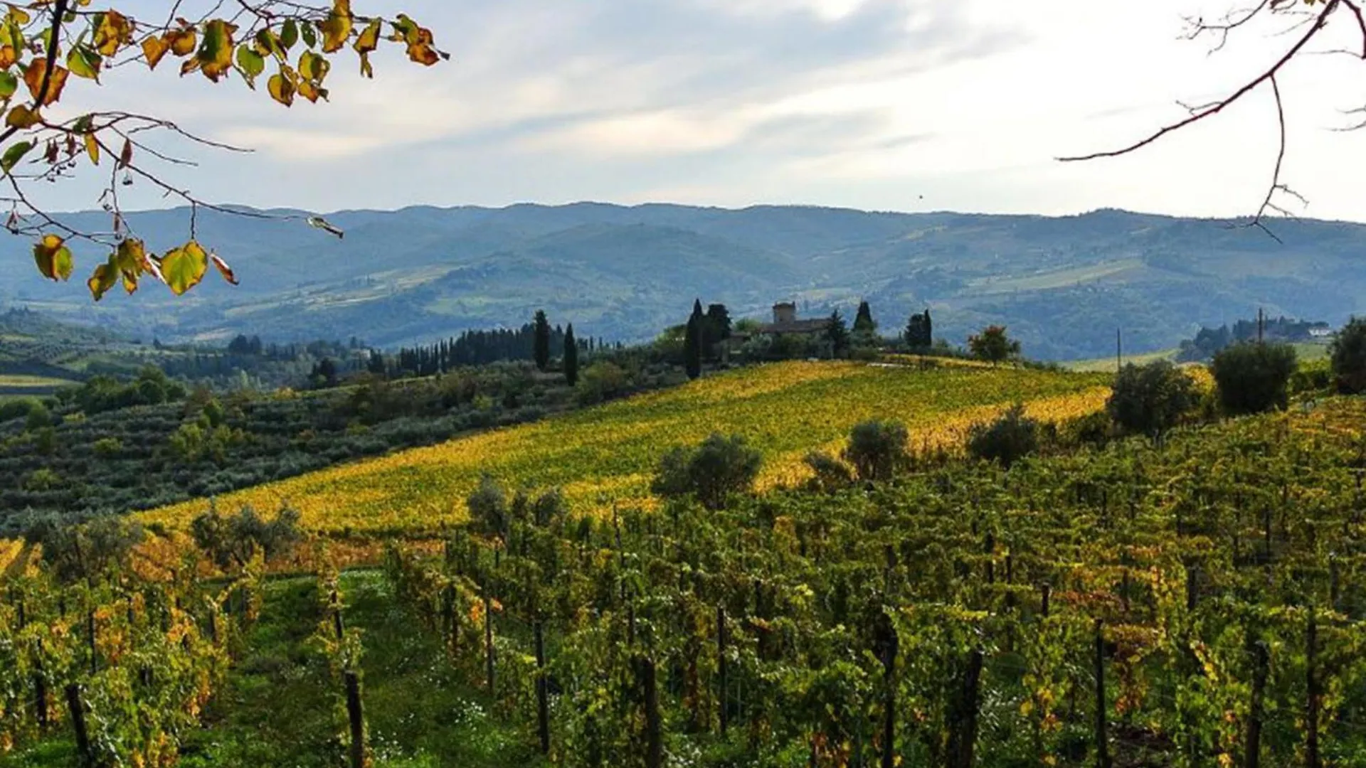 Apartment Padronale By Interhome Greve in Chianti Italy