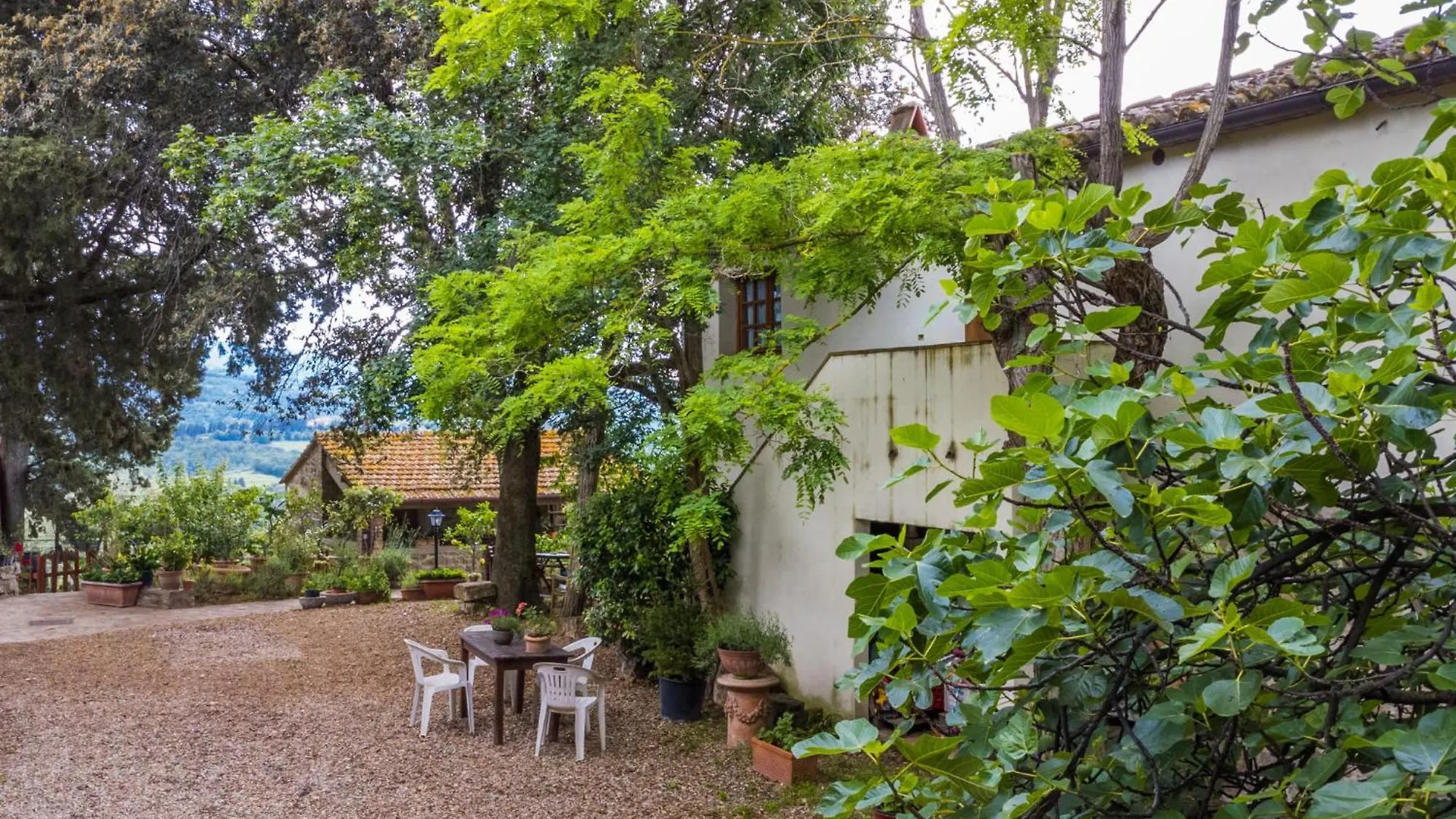 Apartment Padronale By Interhome Greve in Chianti